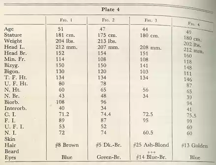 Plate 4